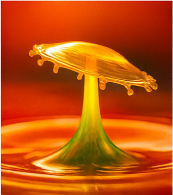 보상 가득한 새로운 모험 세계