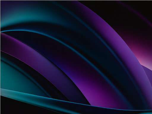 보상과 스릴 가득한 체험